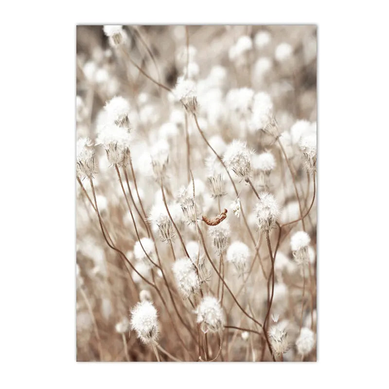 Nordic Beige Dandelion Painting Poster Reed Canvas Art Print Flower Posters Bunny Tail Grass Wall Art Picture Living Room Decor