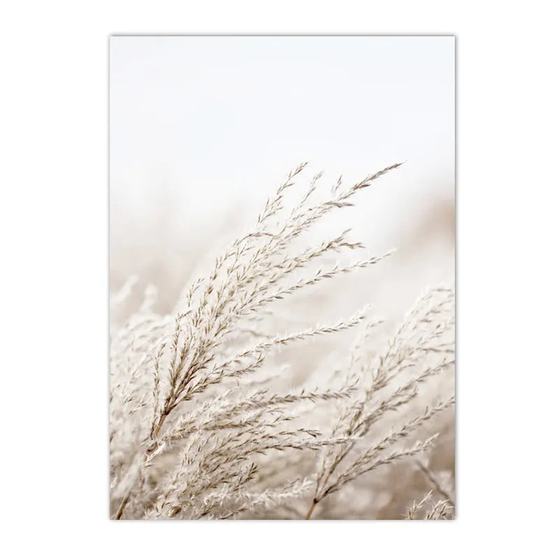 Nordic Beige Dandelion Painting Poster Reed Canvas Art Print Flower Posters Bunny Tail Grass Wall Art Picture Living Room Decor