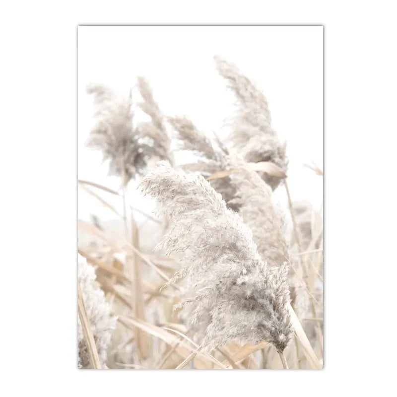 Nordic Beige Dandelion Painting Poster Reed Canvas Art Print Flower Posters Bunny Tail Grass Wall Art Picture Living Room Decor