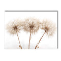 Nordic Beige Dandelion Painting Poster Reed Canvas Art Print Flower Posters Bunny Tail Grass Wall Art Picture Living Room Decor