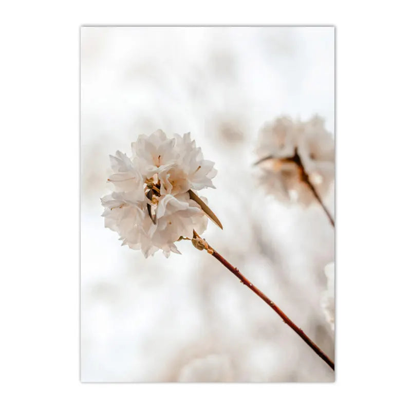Nordic Beige Dandelion Painting Poster Reed Canvas Art Print Flower Posters Bunny Tail Grass Wall Art Picture Living Room Decor
